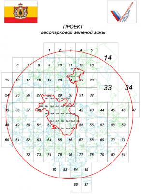 На «Форуме действий» ОНФ в Москве активисты рассказали об опыте создания в Рязани «Зелёного щита»