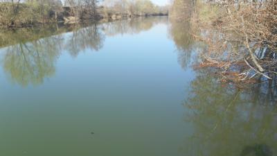 В рязанской реке Кердь вновь помутнела вода