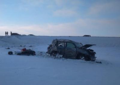 Под Скопином Lexus улетел в кювет, пострадали три человека