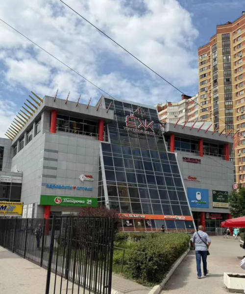 ТЦ «Ёж» в Рязани продают за 85 миллионов рублей