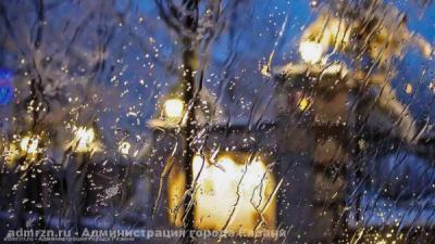 Мэрия предупредила рязанцев о возможном падении деревьев