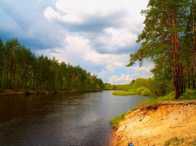 Рязанцев приглашают на фотовыставку «Лесная красавица Пра»