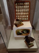 1000053333.jpg title=