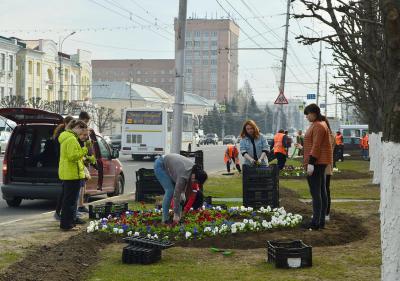 В Рязани высадят свыше 350 тысяч цветов