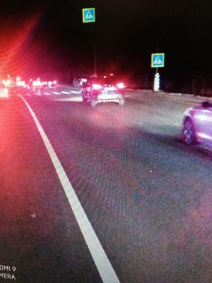 В Рязанском районе Renault Duster насмерть сбил пешехода