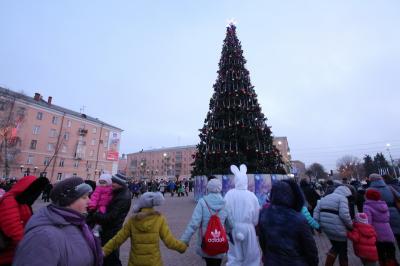 На зажжении главной ёлки Рязани дождались главного человека
