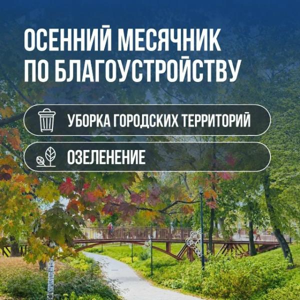 Борис Ясинский пригласил рязанцев на третий общегородской субботник
