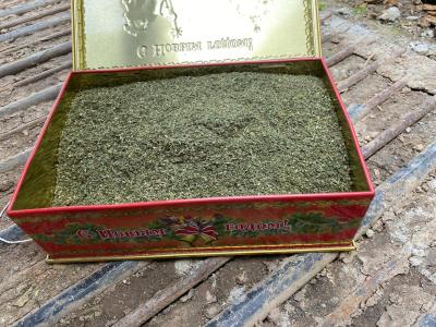 У жителя Старожиловского района обнаружили плантацию конопли