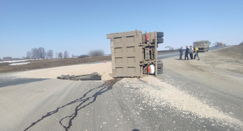 В Кораблинском округе опрокинулся грузовик, пострадала девочка