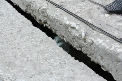 Жители Рязани пожаловались на крыльцо губернатору