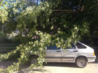 Фото: пользователь соцсети «ВКонтакте» Mikhail Savushkin