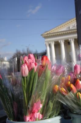 На улицах Рязани появились свежие тюльпаны и мимозы