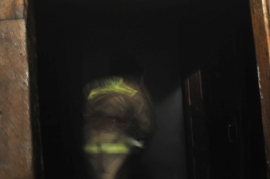 В одном из домов Рязани на пожаре сгорели постельные принадлежности