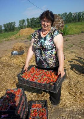ООО «Авангард» вырастил для рязанцев полезную ягоду