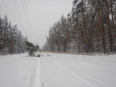 Энергетики «Рязаньэнерго» оперативно восстанавливают электроснабжение потребителей региона после новой волны непогоды