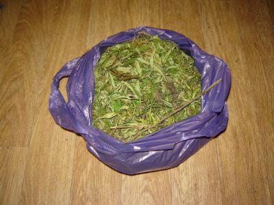 В Касимове поймали любителя марихуаны