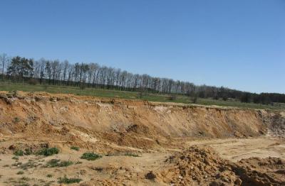 Минприроды Рязанской области выявило самовольный карьер по добыче песка