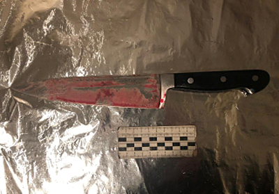 Подозреваемую в убийстве рязанки задержали