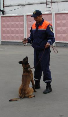 Рязанцы стали намного чаще теряться в лесах