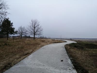 В парке Морской славы Рязани поработали археологи