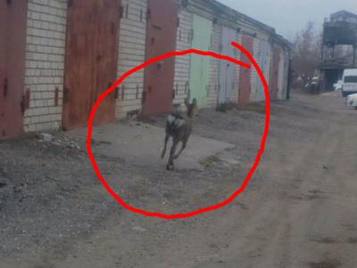 Фото: пользователь соцсети «ВКонтакте» Александр Абрамов