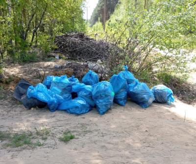 При поддержке РНПК школьники провели уборку в лесу около села Агро-Пустынь