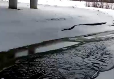 Фото: «Издательство «Пресса»