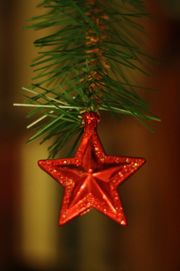 Естественно-географический факультет РГУ оценил ландшафтный потенциал Рязанщины