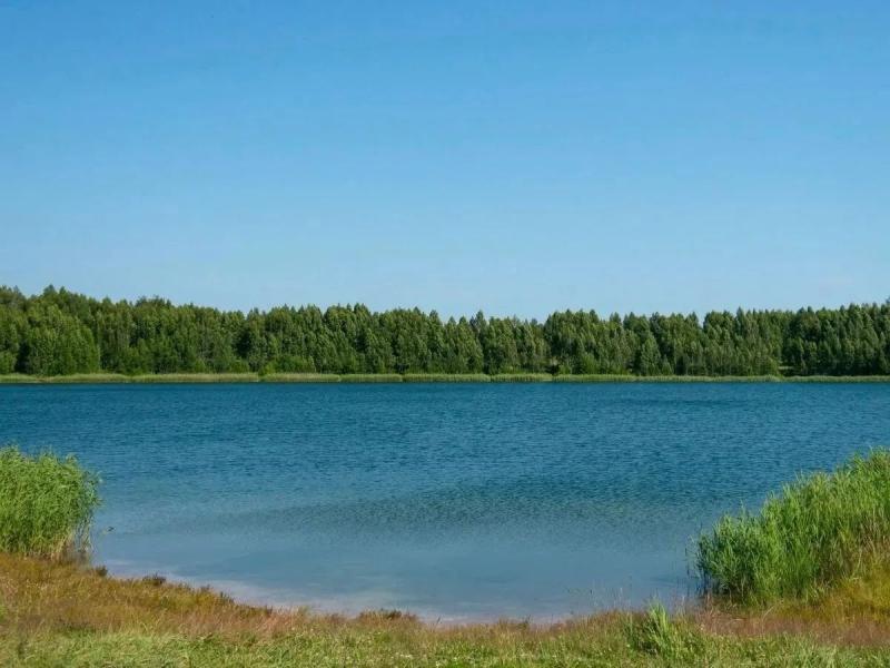 Водоёмы Рязанской области очищают по проекту «Вода России»