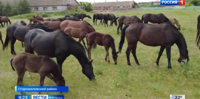 Фото: ГТРК «Ока»