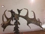 Image00052.jpg title=