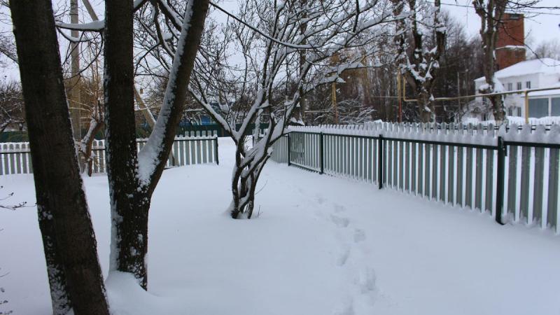 Высота снежного покрова в посёлке Сараи Рязанской области достигла 40 сантиметров