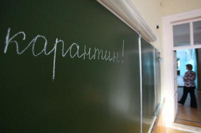 Более 200 классов в рязанских школах ушли на карантин из-за ОРВИ и гриппа