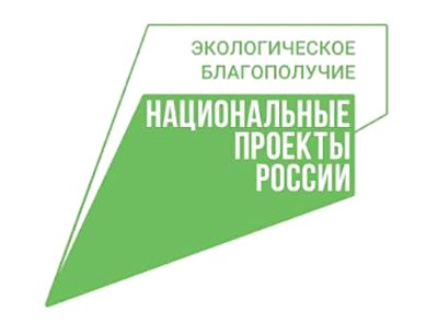 На улице Ленина в Рязани высадят 62 клёна