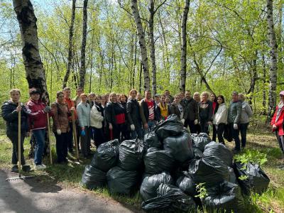 Во Всероссийском субботнике приняли участие более 50 тысяч рязанцев