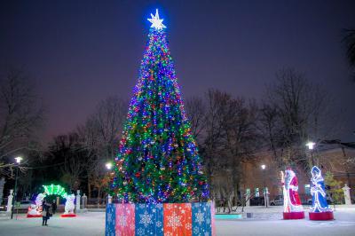 Демонтировать новогодние арт-объекты в Рязани начнут 22 января