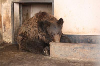 Олег Ковалёв побывал в частном зоопарке