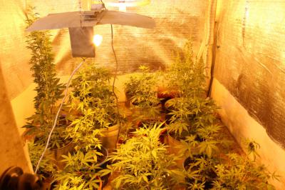 В ряжском селе ликвидирована подпольная нарколаборатория