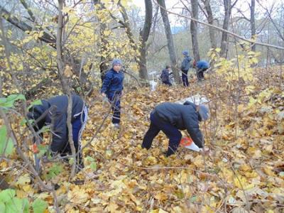 Близ Рязани стало чище