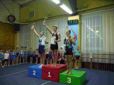 В Рязани проходят Дни спортивной гимнастики