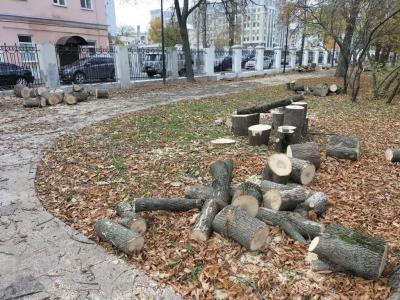 Фото: группа «ЭРА (Экологический Рязанский Альянс)» в соцсети «ВКонтакте»