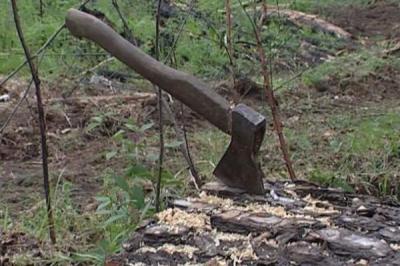 Олег Ковалёв велел наказать чёрных» лесорубов