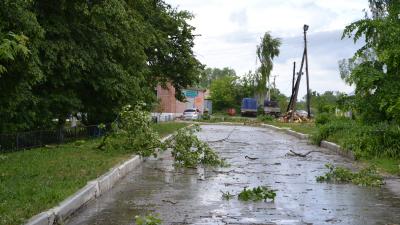 В Пронске буря унесла теплицу