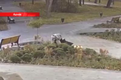 В Рязанской области в 2024 году зафиксировали 12 случаев порчи государственного или муниципального имущества