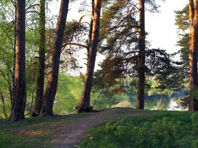 Территорию лыжной трассы в Солотче очистят от мусора