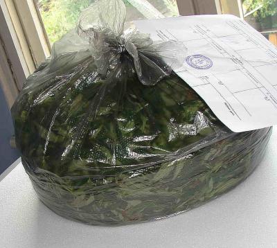 Житель Милославского района не довёз коноплю до места назначения