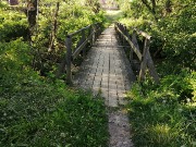 IMG_20200604_174031.jpg title=