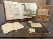 1000053337.jpg title=