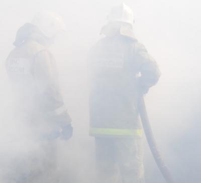 В Ряжском районе сгорел автомобиль, есть пострадавший