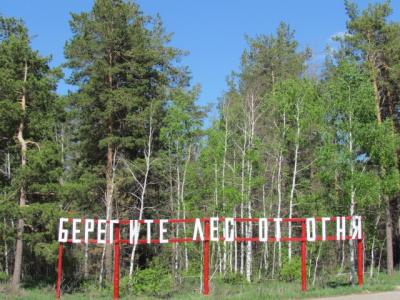 В Рязанских лесах сохраняется высокий класс пожарной опасности